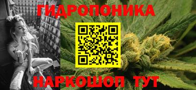 стафф Лесосибирск