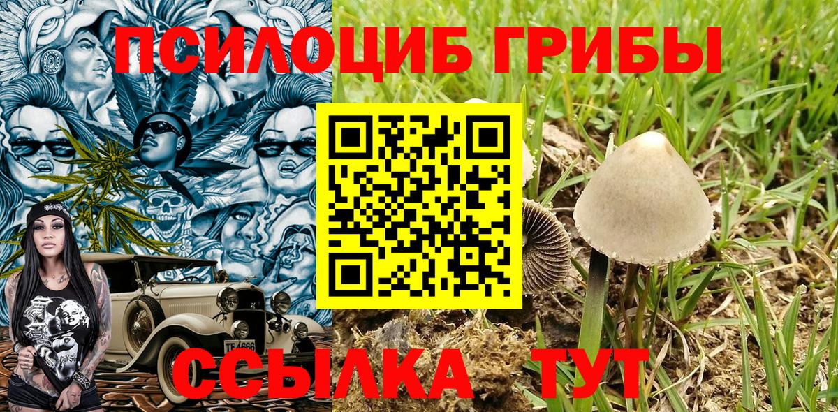 Бузулук  Галлюциногенные грибы мицелий  Вход с VPN 