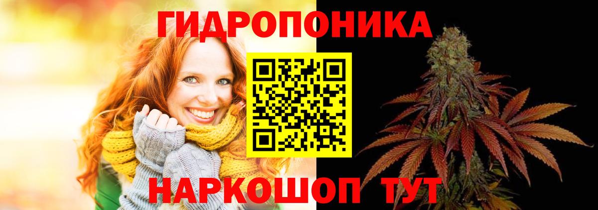 Бузулук  Бошки Шишки OG Kush  Вход с VPN  Конопля гибрид 
